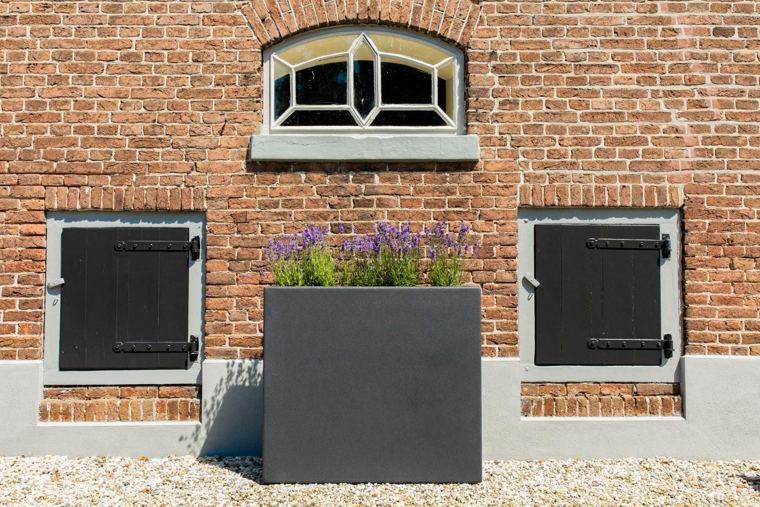 Gevel met boogvenster en lavendel